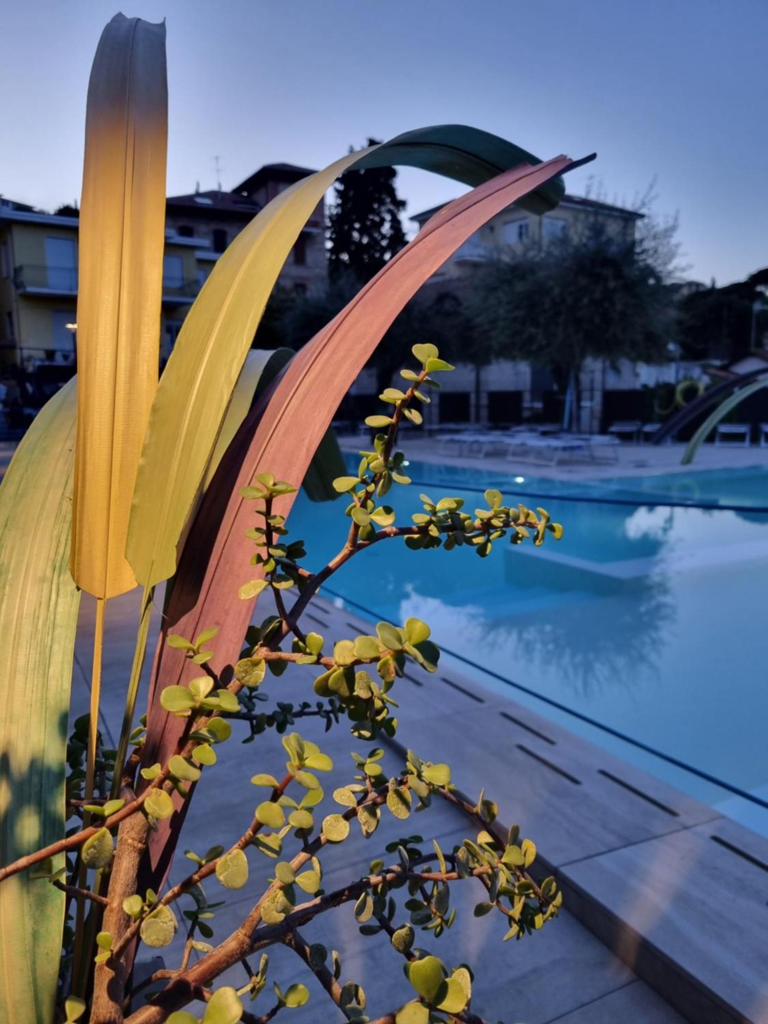Hotel Villa Igea Diano Marina Exterior foto